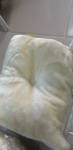 Oreiller Doux en Peluche