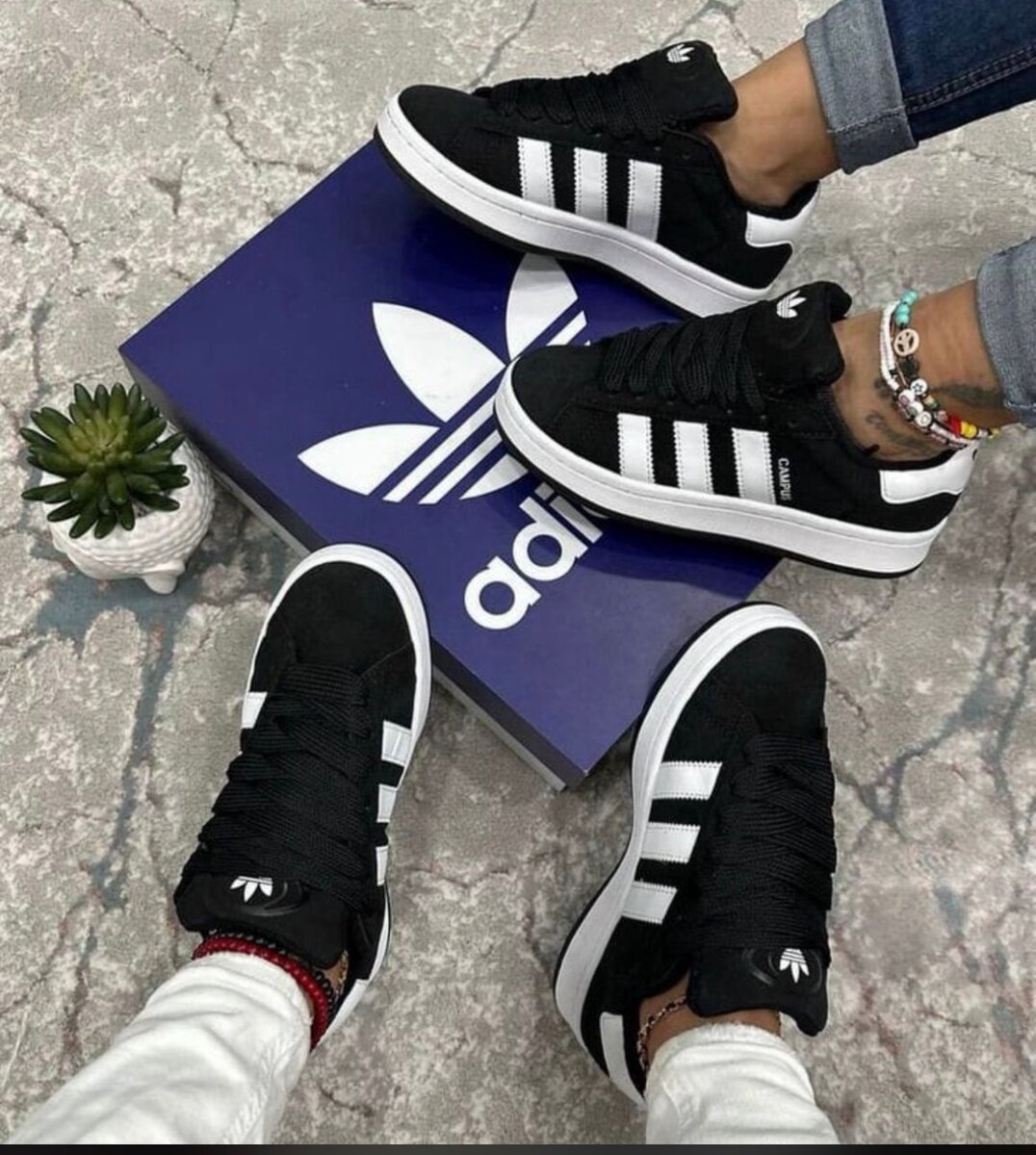 Baskets élégantes pour tous