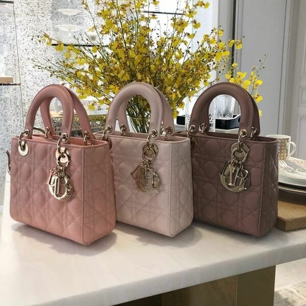 Dior ladies purse
