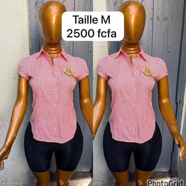 Chic Women's Blouse Collection