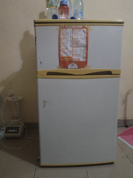 Frigo France au revoir