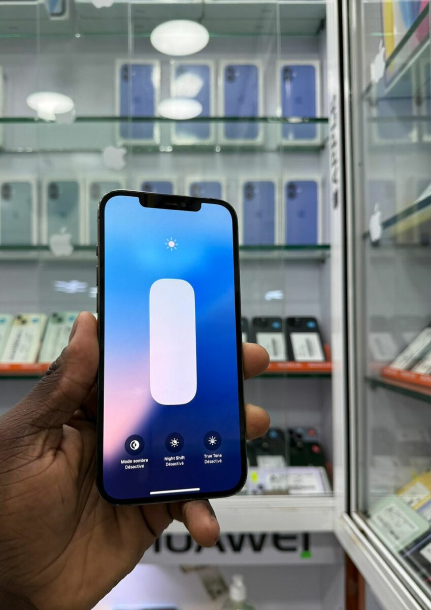 iPhone 12 Pro Max Gris