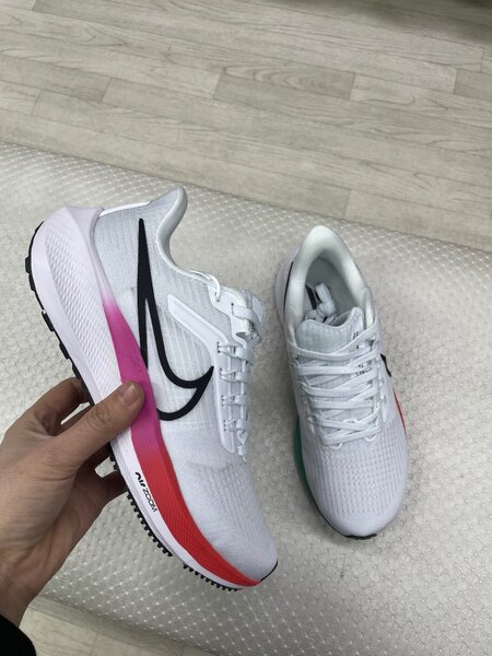 Nike pegasus39