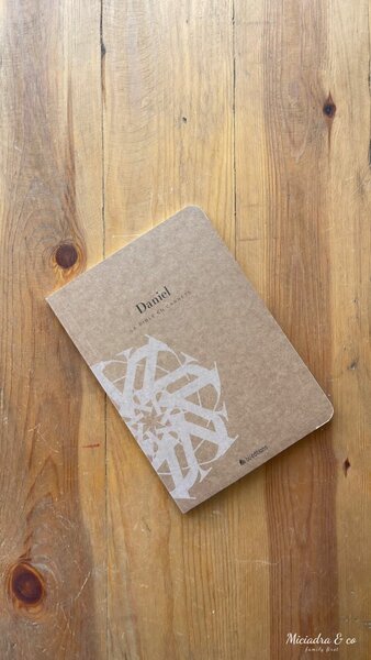 La Bible en carnets - Daniel
