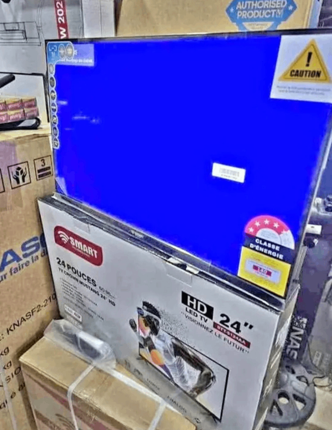 Télévision LED HD 24"
