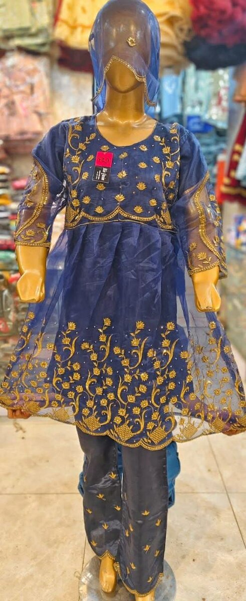 Ladies fancy suit
