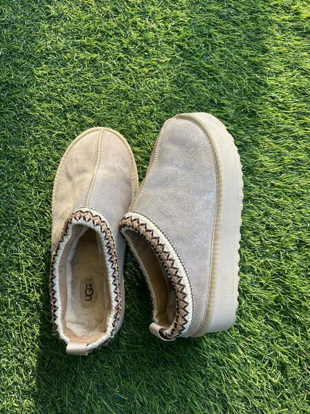 UGGs tazz