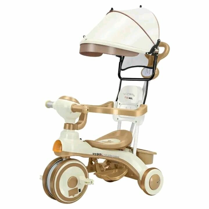 Tricycle Enfant avec Canopy