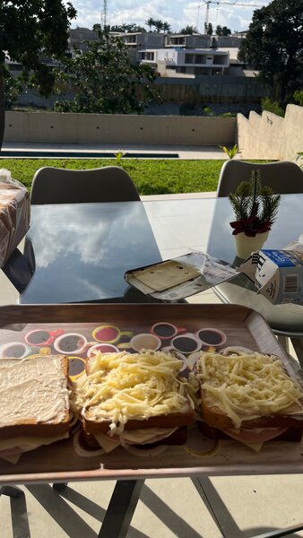 Croque monsieur avec frites