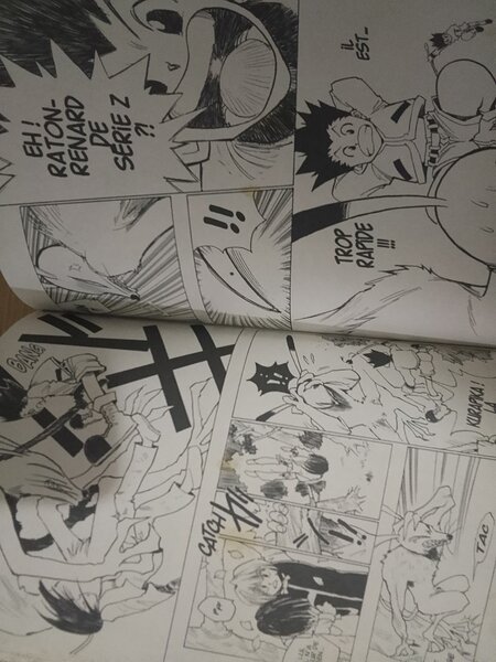 Manga Hunter X Hunter Vol. 1