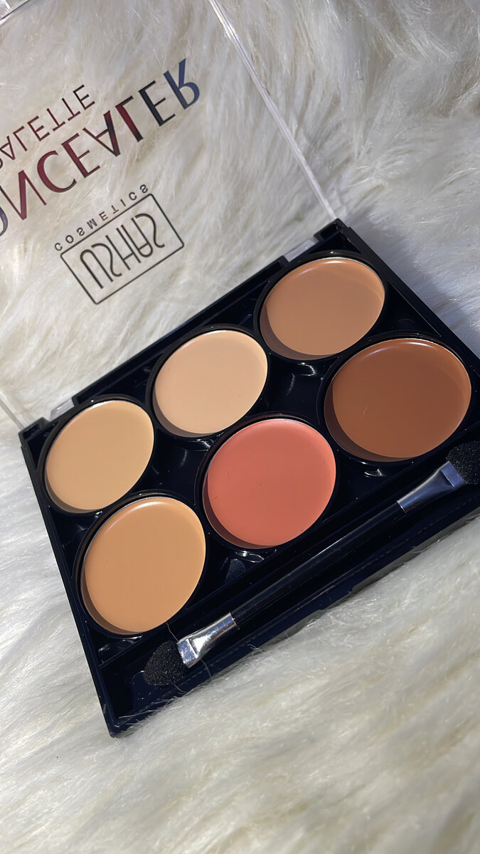 Palette Correctrice Multifonction