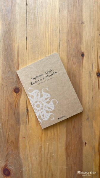 La Bible en carnets - Sophonie