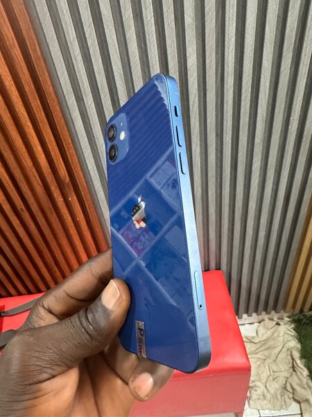 iPhone 12 Bleu et Vert