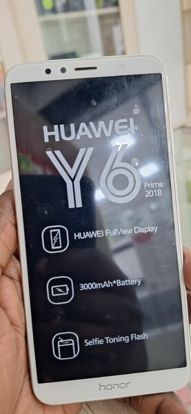 Huawei Y6 2018