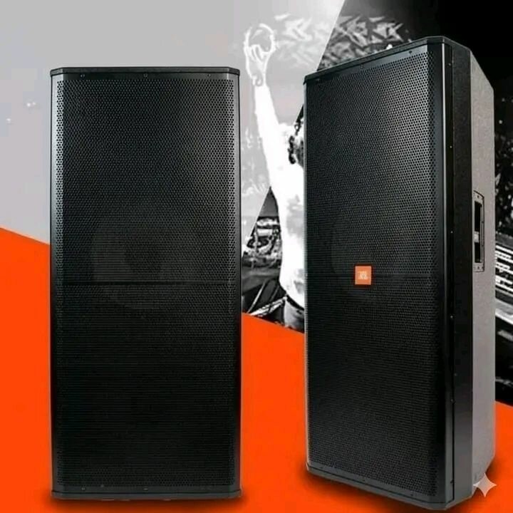 Enceintes de sonorisation pro