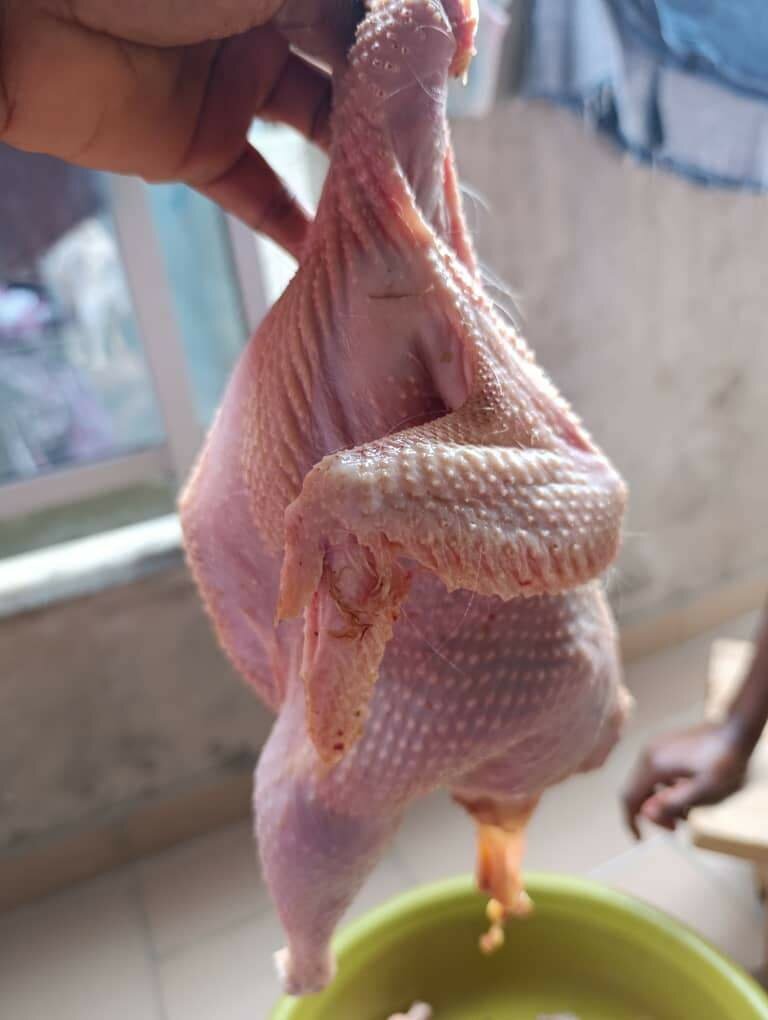 Poulet pondeuse frais