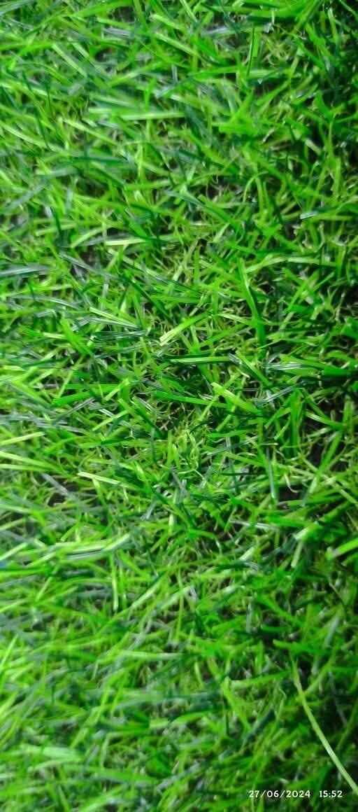 Tapis gazon synthétique original prix par m2