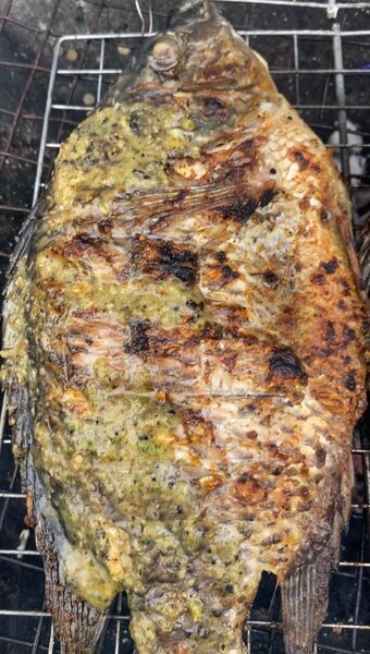 Poisson grillé savoureux