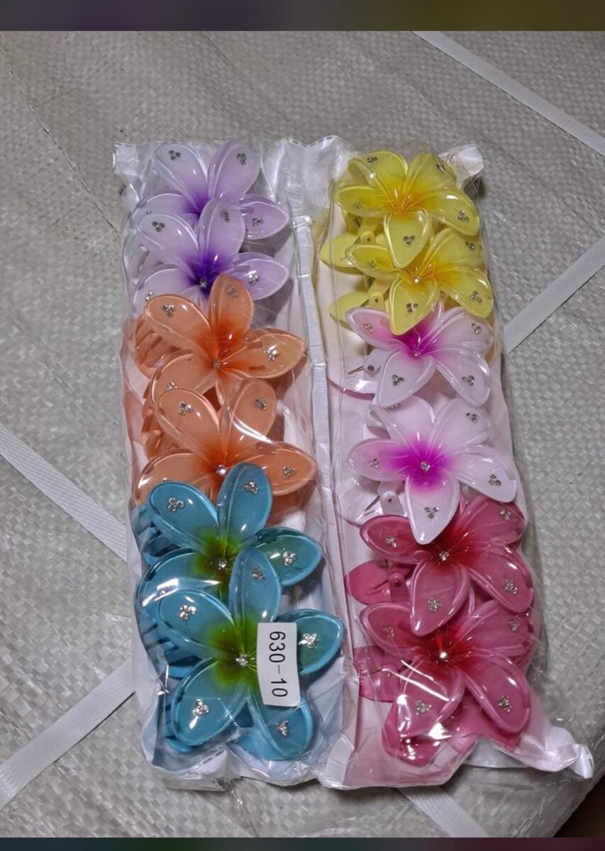 Lot de pinces à cheveux colorées