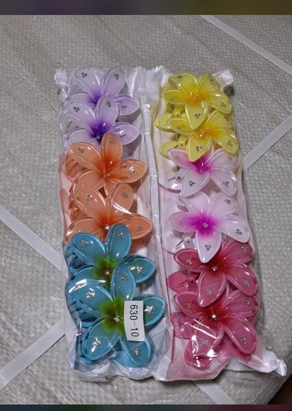 Lot de pinces à cheveux colorées