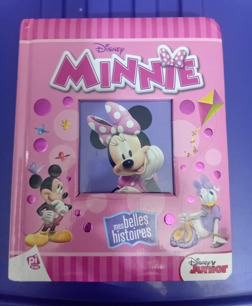 Livre Histoires Disney Minnie