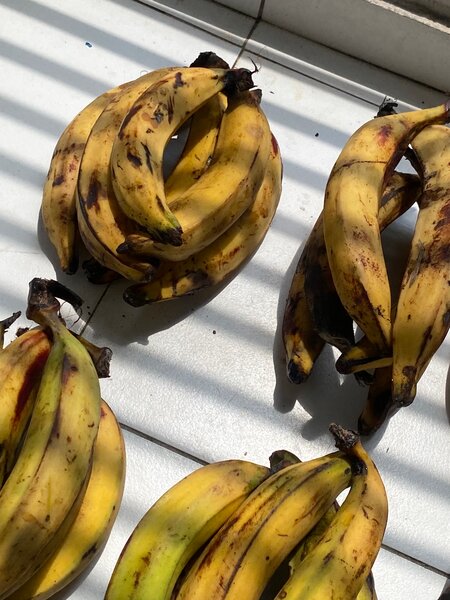 Bananes fraîches bio