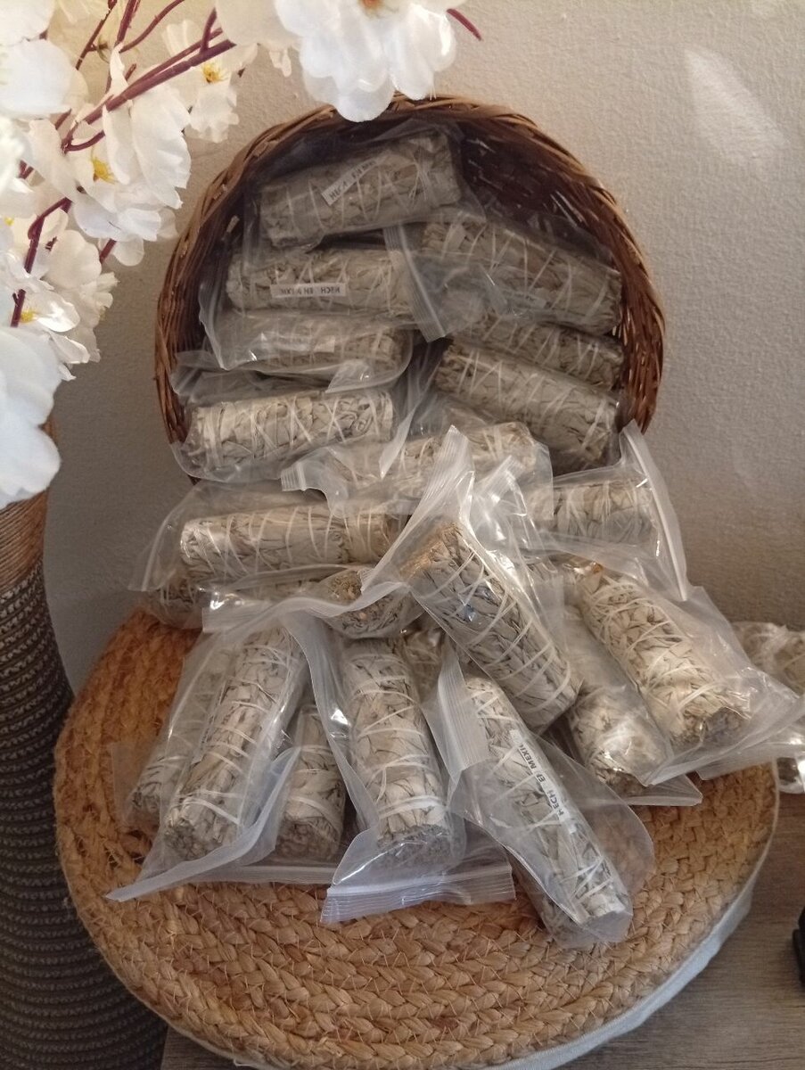 Sauge Blanche Purification 10cm