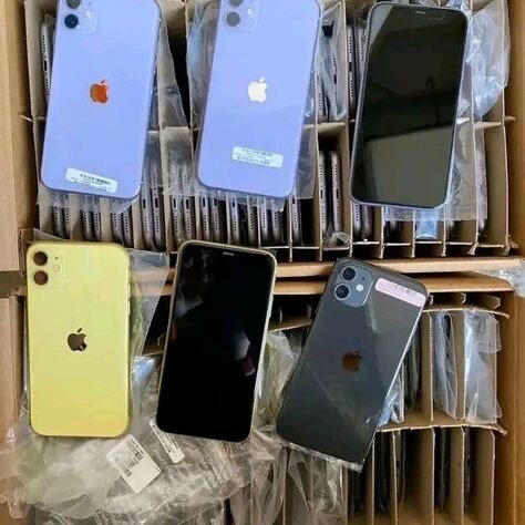 iPhone 11 quasi neuf original