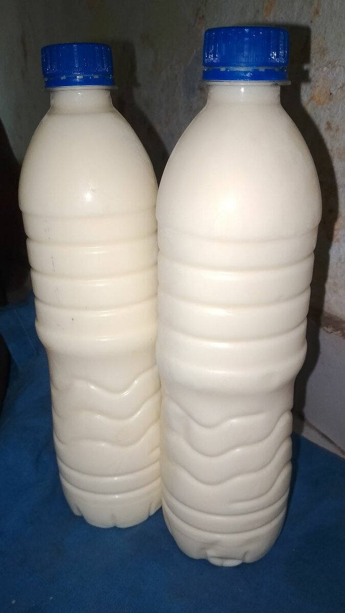 Boissons lactées maison