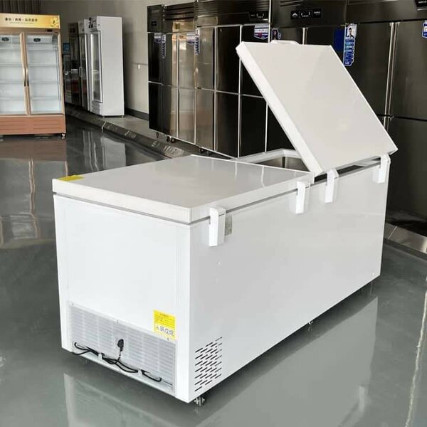 Congélateur horizontal 300L