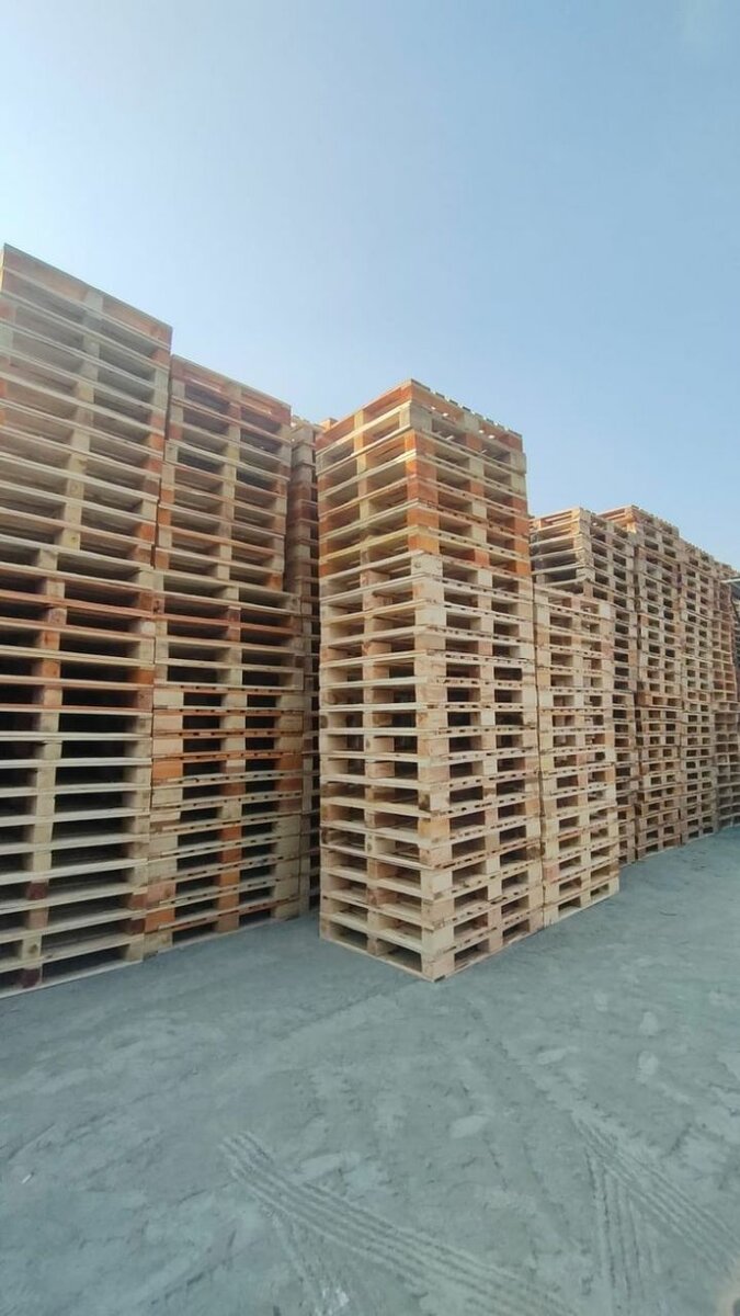 Palettes en bois robustes