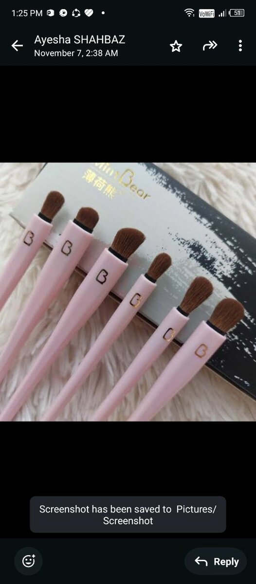 Eye makeup brushes set