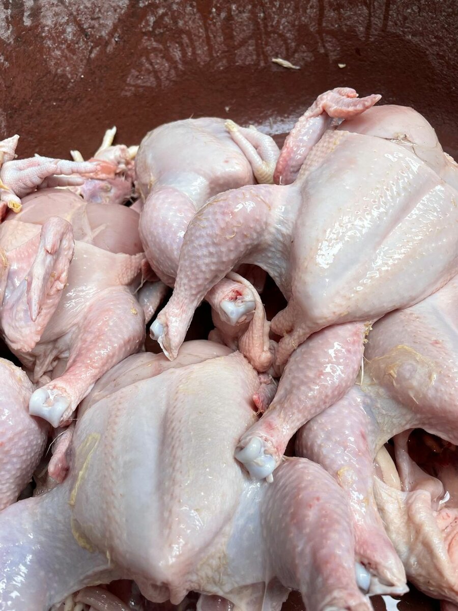 Poulet Frais Prêt à Cuisiner