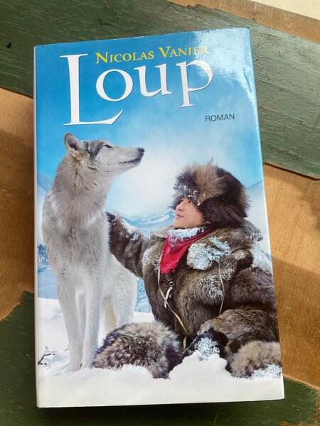 Lot de 3 Romans Populaires