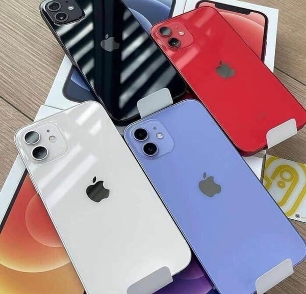 iPhone 11 - Choix Couleurs