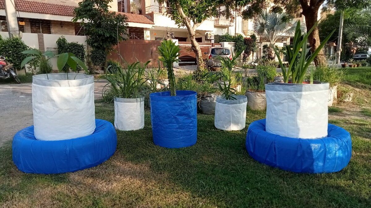 Seasonal Organic Vegitables