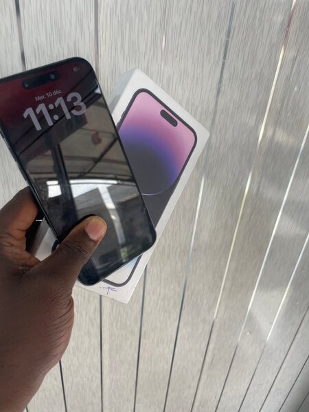 iPhone 14 Pro Max 256 Go