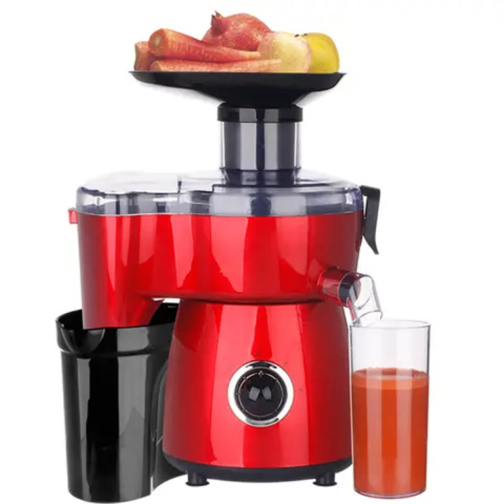 10 in 1 juicer machine