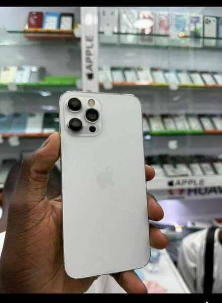 iPhone 13 Pro Max - Neuf