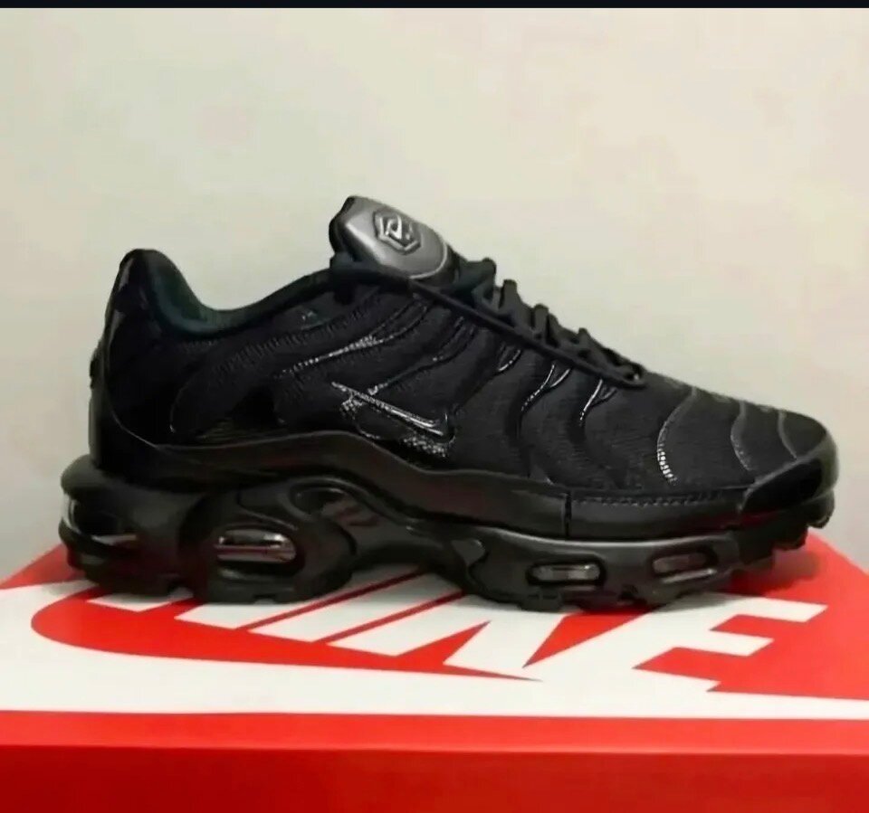 Nike Air Max Plus Noir