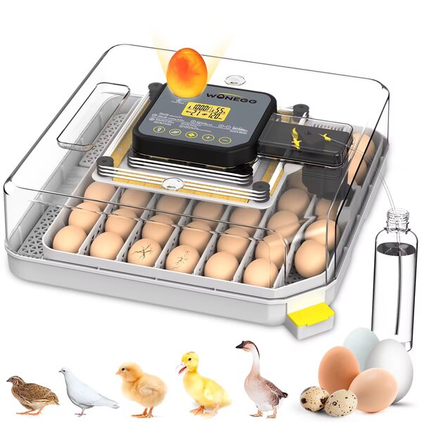 Couveuse automatique 48 oeufs