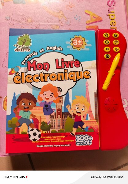 Livre Électronique Bilingue