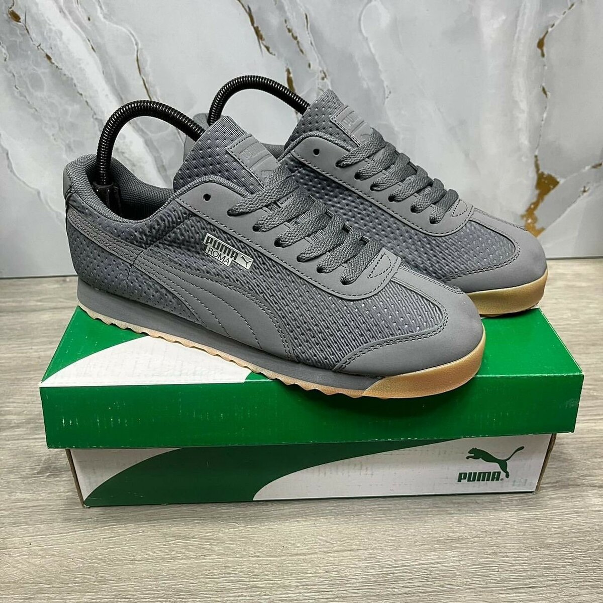 Puma roma