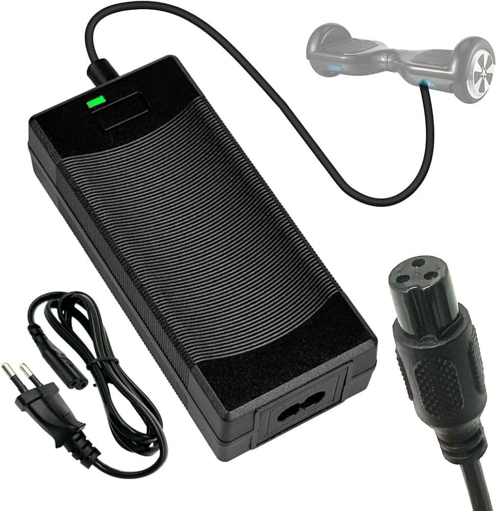 Hoover/ Scooter Board Charger