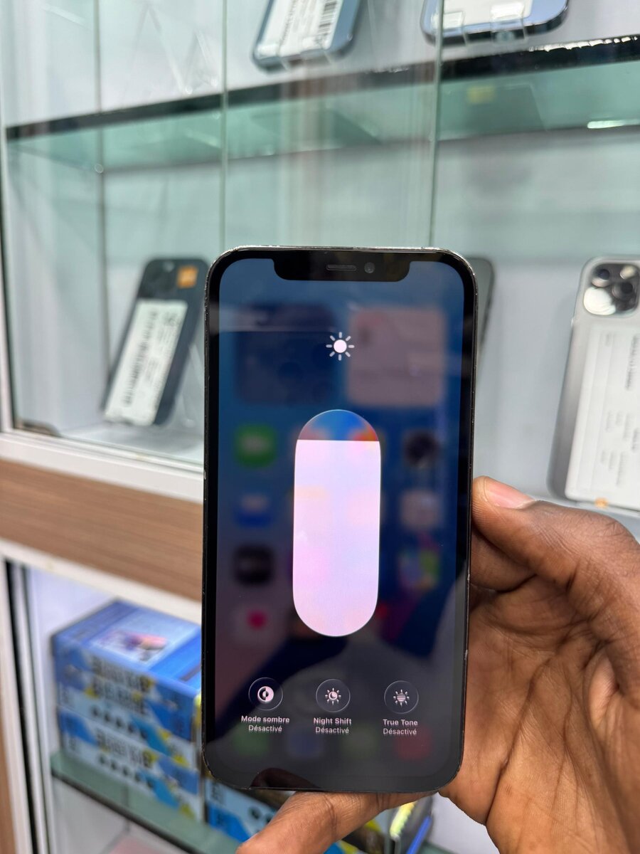 iPhone 12pro 256Go tout passe