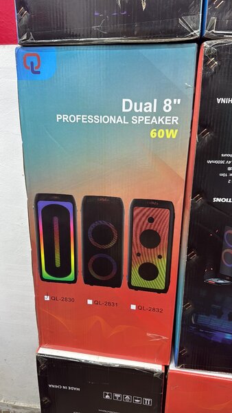 Enceinte professionnelle Dual 8" 60W