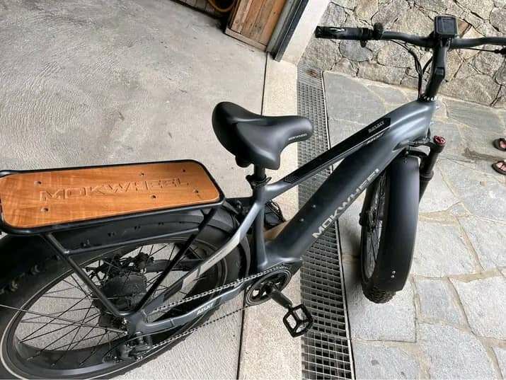 Vélo électrique tout-terrain