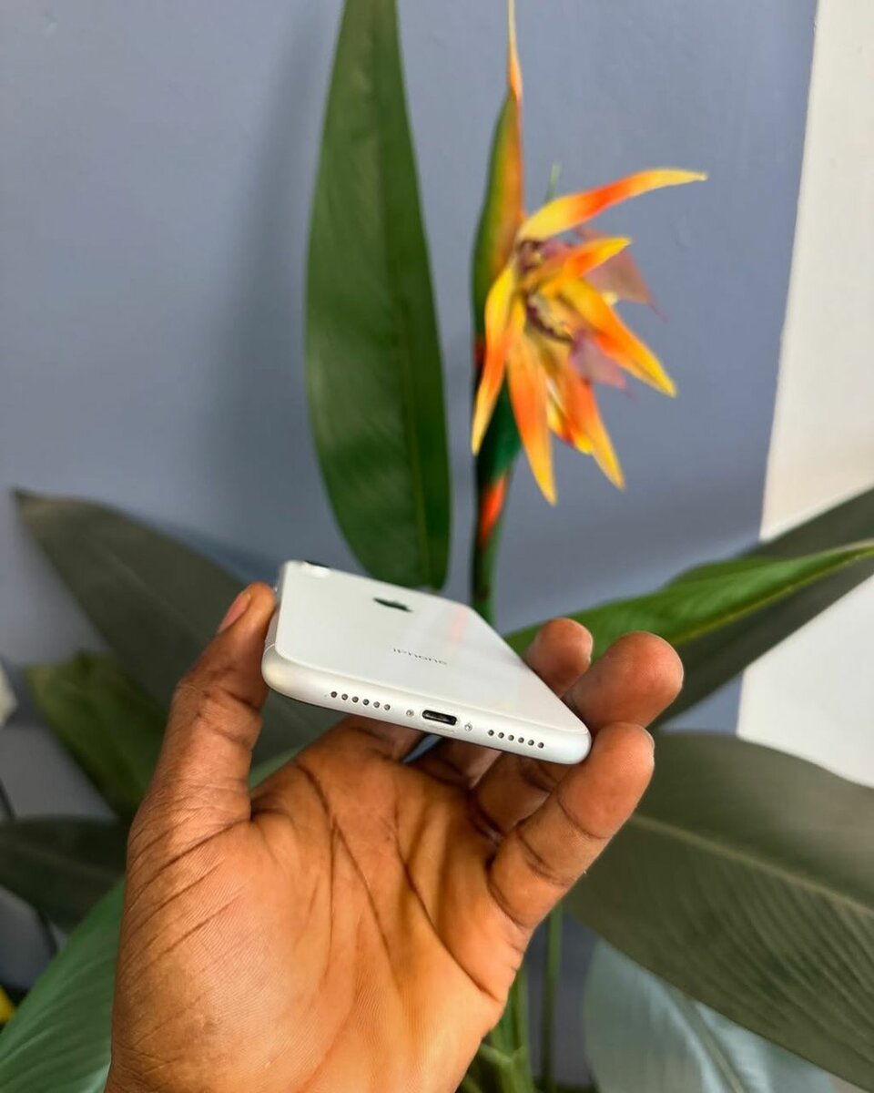 IPHONE XR 64GB [White Color]