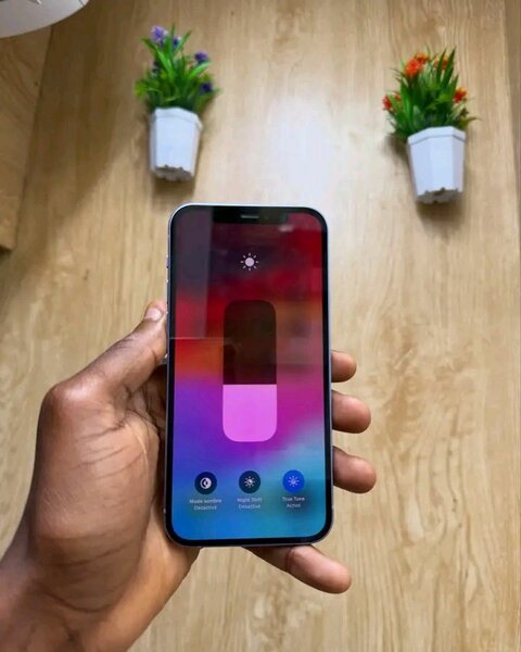 iPhone 12 Bleu 128Go