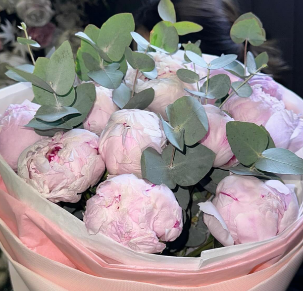 Пионы голландские